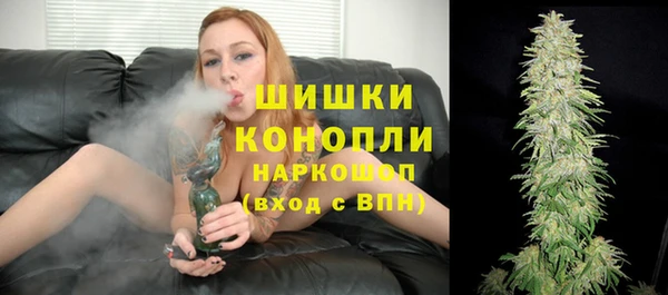 шишки Балабаново