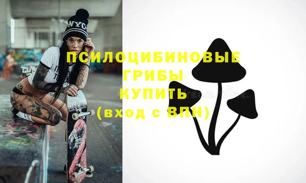 спайс Богородицк