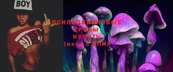 первитин Богородск