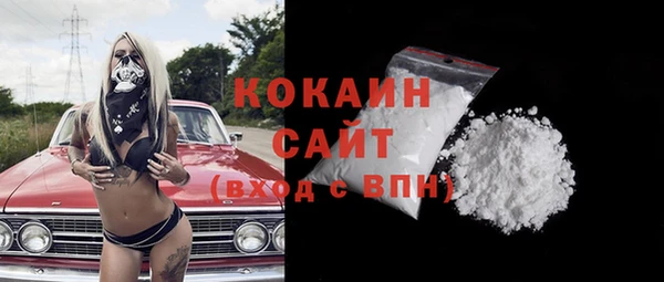 гашик Белокуриха