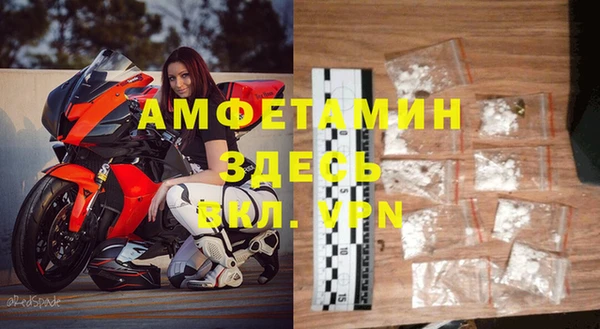 шишки Белоозёрский