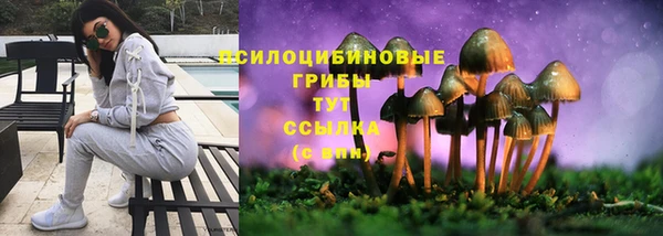 спайс Богородицк
