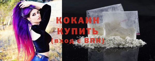первитин Богородск