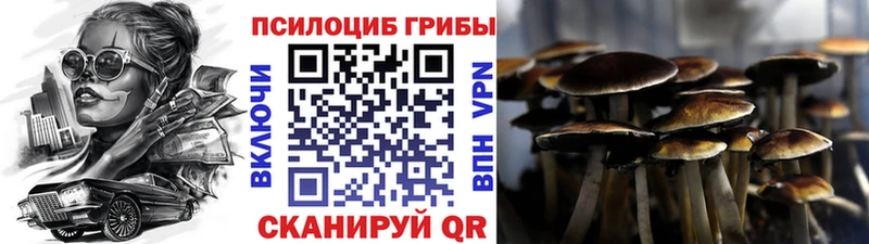 площадка наркотические препараты  Воркута  Галлюциногенные грибы прущие грибы  как найти  